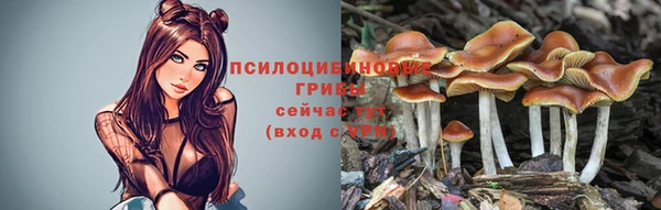метадон Бородино
