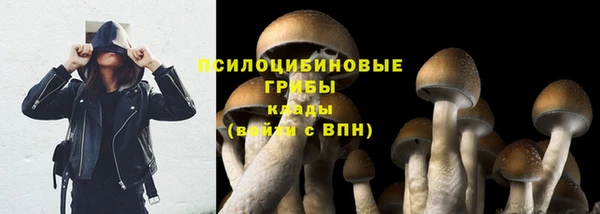 метадон Бородино