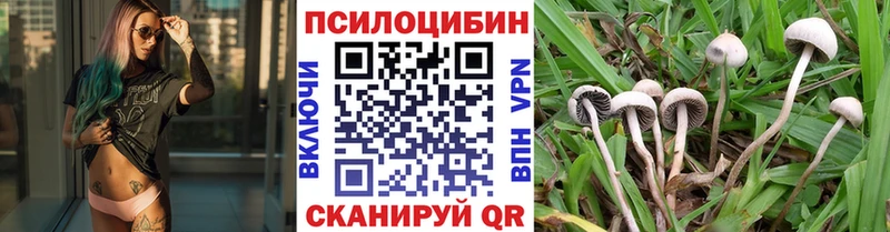 Псилоцибиновые грибы прущие грибы  Бугуруслан 